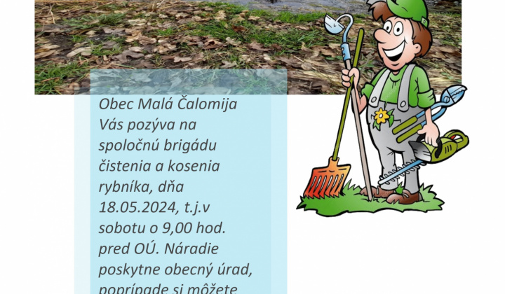 1. fotografia fotogalérie Úradná tabuľa archív / Brigáda v okolí rybníka - foto